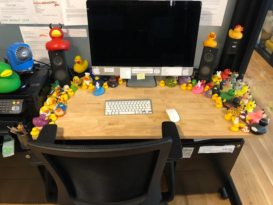 insert image of desk with ducks. source: reddit